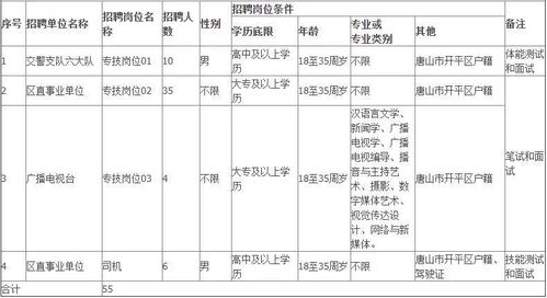 唐山市开平区2020年第二批公开招聘55名劳务派遣人员的公告